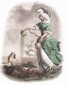 Výsledek obrázku pro Les fleures animées paris 1847