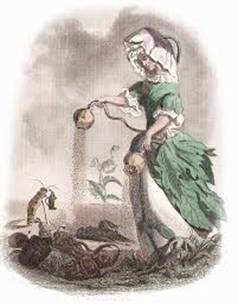 Výsledek obrázku pro Les fleures animées paris 1847